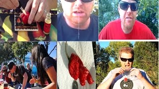 Getting High on Capsaicin  A Compilation [upl. by Ayian]