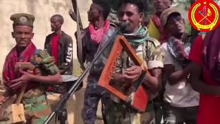 New Tigray Song Embi 2021 Solomon Tesfay እምቢ ሓዳሽ ደርፊ ብተጋዳላይ ሰለሞን ተስፋይ ካብ ሰራዊት ትግራይ [upl. by Sumetra149]