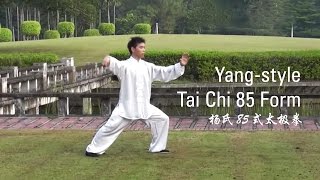 YangStyle Tai Chi 85 Form  Part 1 杨氏85式太极拳 [upl. by Anirhtak12]