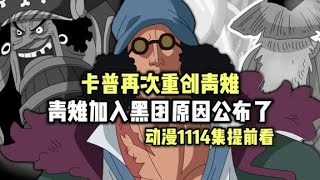 海贼王1114集，卡普再次重创青雉，青雉加入黑团原因公布 [upl. by Blondie]