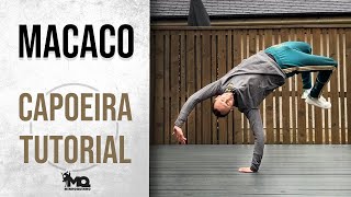 Macaco  CAPOEIRA TUTORIAL [upl. by Laumas]