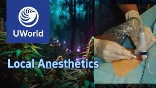 Local anesthetics  typesmechanismside effects  pharmacology USMLE Step 1 UWorld Questions MBBS [upl. by Glogau]