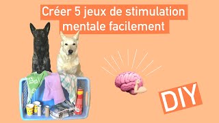 5 jeux de stimulation mentale à créer facilement chez soi [upl. by Lulu]