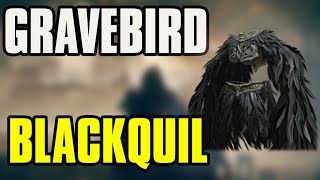 Elden Ring DLC How To Get GraveBird Blackquil Armor [upl. by Nahtanhoj]