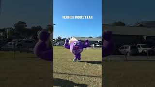 Herbies BIGGEST FAN 💜🐬 dolphins australia nrl shorts elitesupps supplements herbiefarnworth [upl. by Yeorgi]