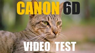 Canon 6d Video Quality Test  Tech Media 2022 [upl. by Damha]