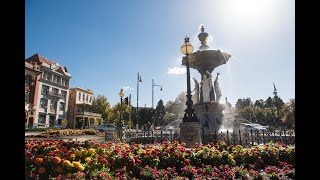 The many reasons why you should visit Bendigo [upl. by Ocnarf]