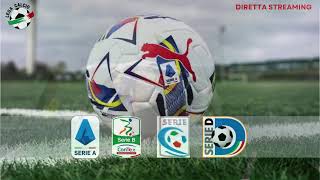 DIRETTA SPAL  Pineto  Serie C Girone B Round 14 [upl. by Aneehsat]