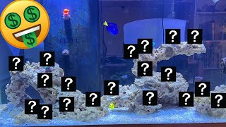 Unboxing 19 Mystery Coral Frags 1000 Value [upl. by Benson]