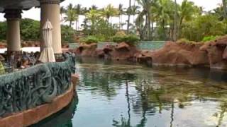 Atlantis Resort Paradise Island Bahamas Lagoon Bar amp Grill [upl. by Leahcym]