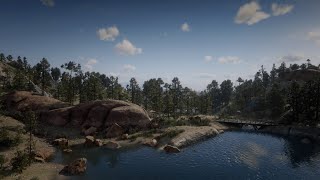 Ambient Red Dead Redemption 2  Calumet Ravine 1 [upl. by Dysart710]