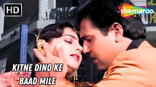 Kitne Dino Ke Baad Mile  Andolan 1995  Mamta Kulkarni Govinda  Alka Yagnik Hits [upl. by Erdried]