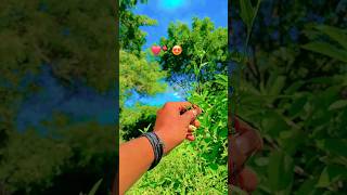 Palko ka mhafil ❤️‍🩹Garma love lovefiling viralvideo [upl. by Auqenaj640]