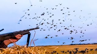 MIGRATION IS ON INSANE UNCUT 20 MINUTE 8 MAN LIMIT [upl. by Yalc]