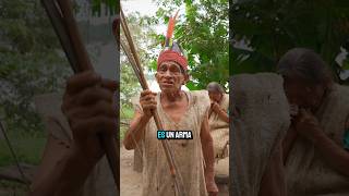 Así cazan monos arañas 😱 animales amazonas indigenas [upl. by Haleak]