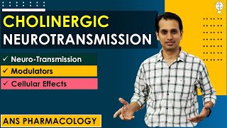 Cholinergic Neurotransmission  Cholinergic Mechanism of Action  Parasympathomimetic Pharmacology [upl. by Enirehtakyram912]