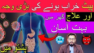 Bacillary Dysentery Disease Sign Symptoms Cause and Treatment in Pashto by Dr Mustaqeem [upl. by Brana]