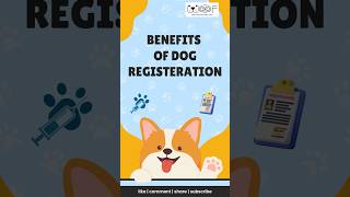 Benefits of dog Registration in india  woof petparent [upl. by Roldan]