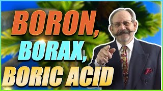 Boron and its derivatives Boric Acid amp Borax [upl. by Hgielah650]