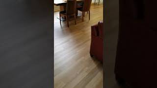 Coretec Vinyl Plank Flooring [upl. by Eilatan]