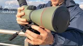 How To Use A Spotting Scope [upl. by Flemming843]