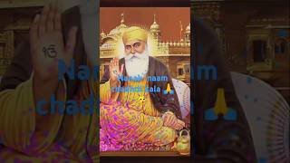 Guru charna de vich mattha jado tekiya viral kirtan video🙏waheguru ji 🙏 [upl. by Vel]