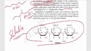 Biomolecules Part 3  Disaccharides amp Polysaccharides  Sucrose Maltose Lactose Starch [upl. by Poppy]