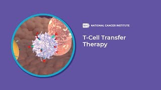 TCell Transfer Therapy [upl. by Lello968]