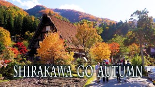 Shirakawagō and Gokayama in Autumn 2022 World Heritage Site 秋の白川郷・五箇山の合掌造り集落 [upl. by Nielson]