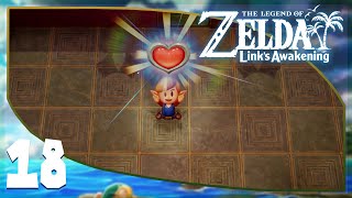 The Legend of Zelda Links Awakening Walkthrough 110  Part 18 4K60FPS [upl. by Koeppel]