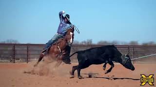 Brenten Hall and Chase Tryan Practice Session  X Factor Team Roping [upl. by El]