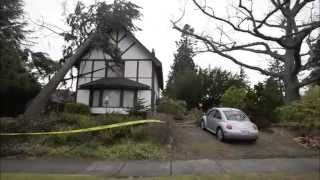 Tree falls on Bellingham House [upl. by Basham]