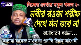 নতুন গজল  নবীর রওজা শরীফ দেখে মন ভরে না  অলি উল্লাহ আশেকী  Music Plus Waz [upl. by Dorreg455]