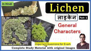 लाइकेन की सामान्य विशेषताएँ । Lichen general characters  Crustose  Foliose  Fruticose  Part 1 [upl. by Herrah790]