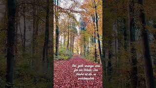 Herbst im Hardwald Kloten Video by Guido Scheerer [upl. by Melton]