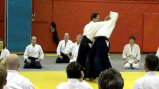 Aikido Sensei Peter Bernath Shihan  2009 Canada Montreal  4 Techniques [upl. by Llenel]