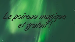 Le poireau MAGIQUE et GRATUIT [upl. by Euqinad]