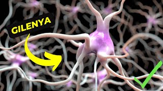 Gilenya What You Need to Know About Its Uses and Potential Side Effects [upl. by Marmion]