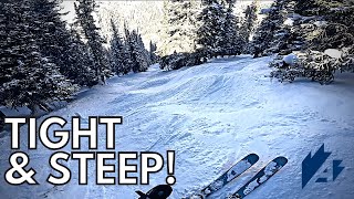 Intermediate Skier vs ABASIN 2nd Alley [upl. by Aihsekel546]