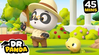 🐼🐱‍🐉 Archaeologist Panda  More  NEW COMPILATION  Dr Panda [upl. by Engleman]