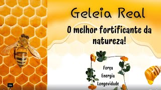 Geleia Real O Melhor Fortificante da Natureza [upl. by Elladine]