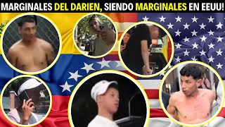 🔥MALANDROS MARGINALES del DARIEN SIENDO MARGINALES en EEUU [upl. by Ecerahc]