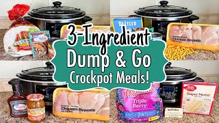 6 DUMP amp GO CROCKPOT DINNERS  The BEST Quick amp EASY 3INGREDIENT Slow Cooker Meals  Julia Pacheco [upl. by Therese]