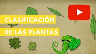 Clasificación de las plantas  Camaleón [upl. by Laurette]