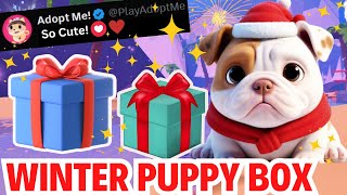 🐶NEW ADOPT ME CHRISTMAS BOX Christmas Pets  Minigames Update in Adopt Me Roblox [upl. by Hsara]