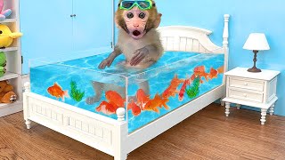 Monkey Baby Bon Bon Goes Fishing and Swims with Ducklings in the Pool [upl. by Anayeek]