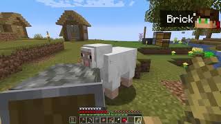 the smartest sheep in minecraft [upl. by Nodarb]