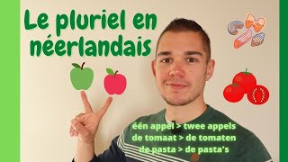 Le pluriel en néerlandais  één appel  twee appels 🍎🍏apprendre la grammaire néerlandaise en ligne [upl. by Enneibaf]