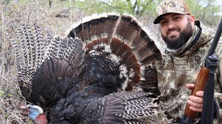 🔥Caza de GUAJOLOTE🦃 New Mexico Turkey hunt [upl. by Leirza]