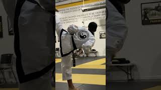 Side Kick amp Front Kick Tang Soo Do Training martialarts tangsoodo taekwondo karate kickboxing [upl. by Vite]